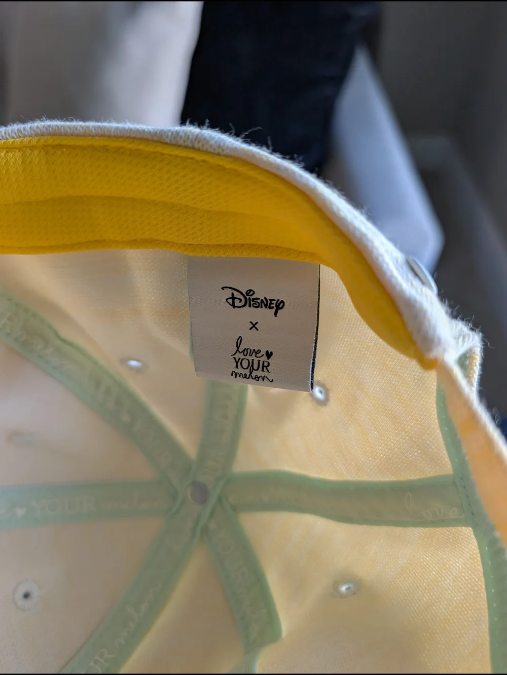 Disney Women's Pooh Love Your Melon Hat